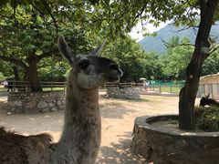 -西安秦岭野生动物园