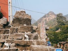 -大岭沟猕猴桃谷风景区
