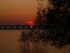 -宝安西湾红树林湿地公园
