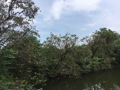 -木守西溪溪隐餐厅
