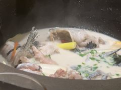 -鲜潭蒸汽石锅鱼(五道口购物中心店)