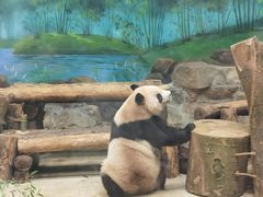 -杭州动物园