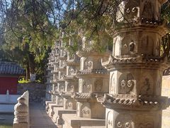 -泰山风景名胜区-普照寺