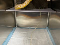 -拜鲁耶动物诊疗中心·宠家动物医院