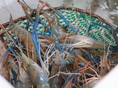 -霸王虾·麻辣小龙虾(清水河公园店)