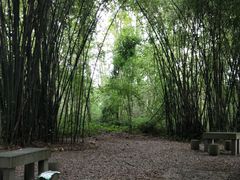 -桤木河湿地公园