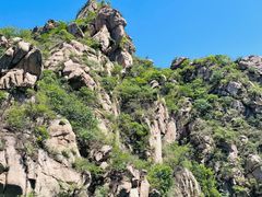 -大岭沟猕猴桃谷风景区