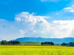 -光明小镇欢乐田园