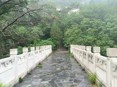 -白水寺森林公园