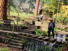 -东天目山风景区