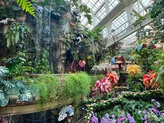 -正佳雨林生态植物园