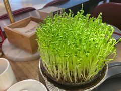 -好彩猪肚鸡(正弘城店)