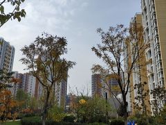 -京粮广场