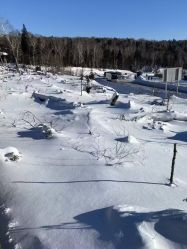 -大秃顶子山
