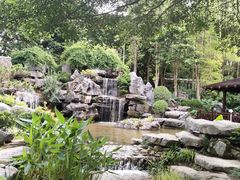 -东莞植物园
