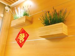 -状元水饺(成都SM广场店)