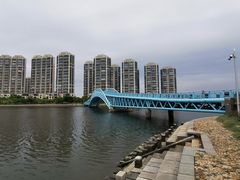 -五缘湾湿地公园
