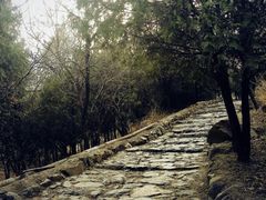 -阳台山自然风景区