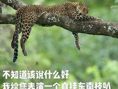 -赵小姐丨新中餐(曲江店)