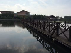 -溱湖国家湿地公园