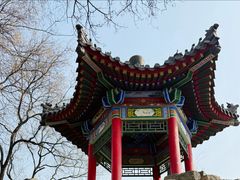 -莲湖公园
