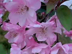 -外高桥保税区南(地铁站)