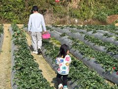 -凤岗南门山森林公园