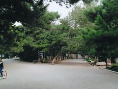 -沈阳中山公园
