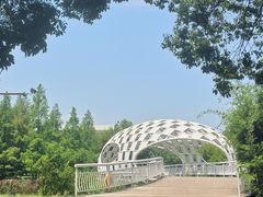 -同里国家湿地公园