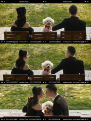 -花漾摄影优选工作室(东莞原创作品店)