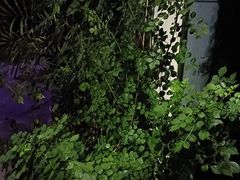 -心足私家足疗SPA(深圳湾店)