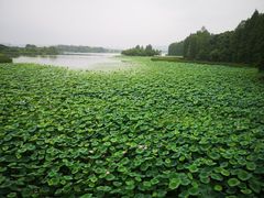 -东湖落雁景区