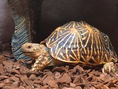 -上海海洋水族馆