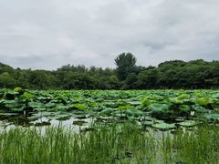 -盘龙城遗址博物院