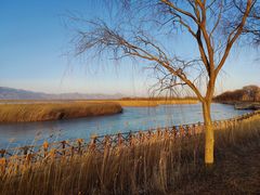 -野鸭湖国家湿地公园