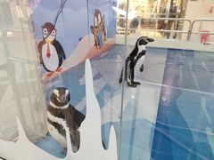 -保利MALL(天鹅湖店)
