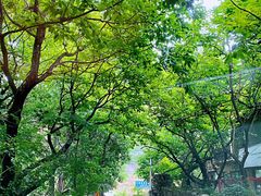 -天源渔港农庄