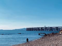 -星海湾跨海大桥