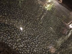 -厦门日月谷温泉渡假村