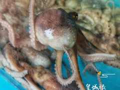 -东海章鱼馆(恒瑞街店)