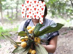 -塘栖枇杷特色园区