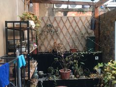 -森果咖啡(人民西路店)