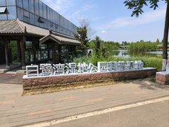 -白鹭湾湿地公园