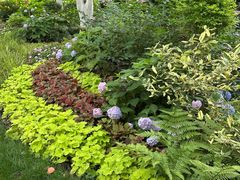 -常州古运河南大街文化旅游区-人民公园