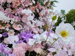 -春花秋色城市公园