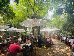 -Fern Forest Cafe