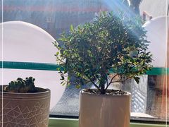 -Catch Bagel(芳草地店)