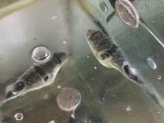 -长廊饭店(锦溪古镇店)