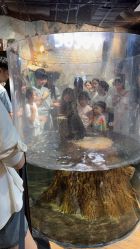 -Zoolung Zoolung动物主题公园(海信广场店)