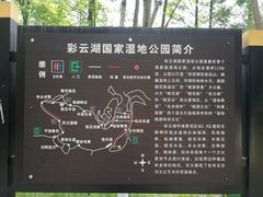 -重庆彩云湖湿地公园